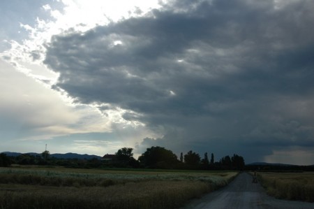 dsc_5289