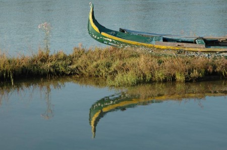 dsc_1192