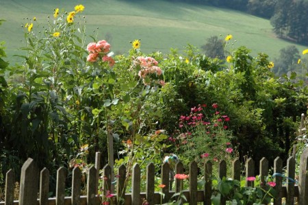 Farbenpracht auf der Meiselhöhe