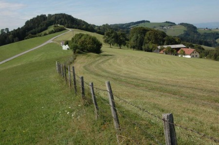 Blick zurück zum Meiselberg und Plambacheck