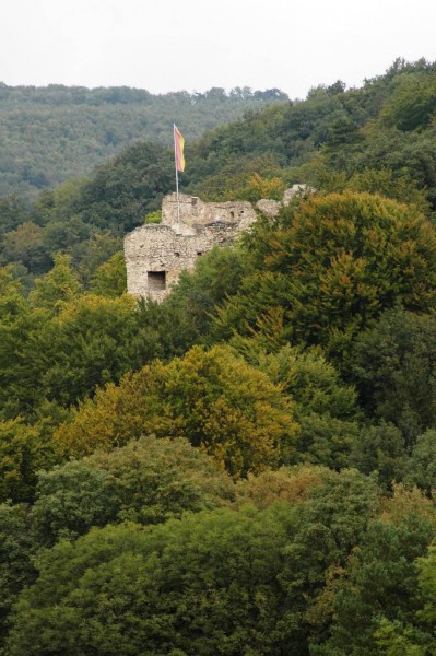 Blick vom Wildgatter zur Ruine Johannstein