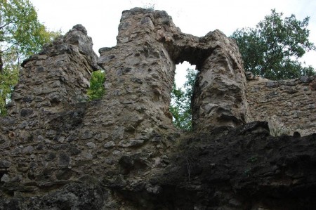 Die Ruine Johannstein