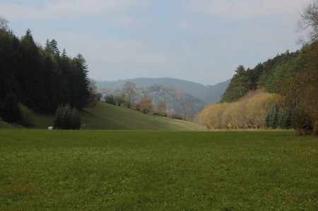 Blick talaufwärts