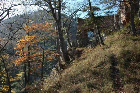 Reste der Burg Schrattenstein