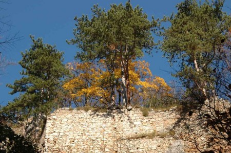 Blick hinauf zu einer alten Burgmauer