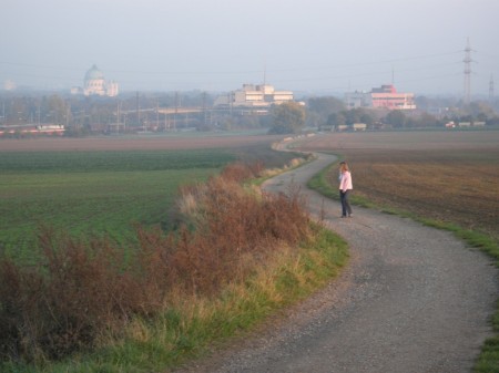 Schleife Richtung Zentralfriedhof