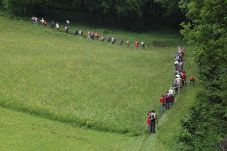 Im Mai 08: Orchideenwanderung auf den St. Veiter Staff