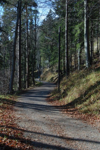 Es hätte auch ein kleines Waldwegerl "Zur Hochstraße" gegeben, wir gingen aber den Bahnwanderweg