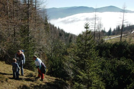 Am Beginn unserer Waldquerung zum Waxriegelhaus