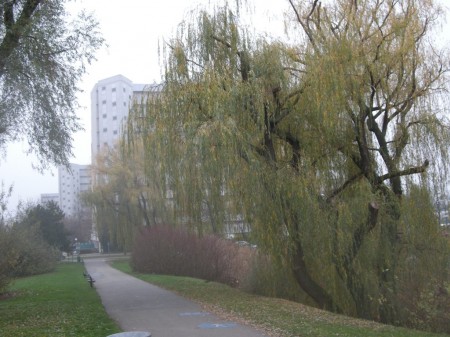 Durch den Park oberhalb des Hansson-Zentrums