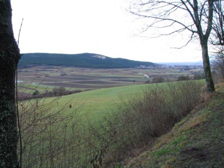 Oberhalb von Gainfarn ist noch kein Winter!