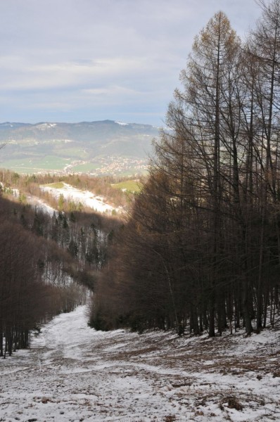 Blick den Kirchschlag (? Krausschlag ?) hinunter, wo früher die Abfahrtsrennen in Hainfeld stattfanden