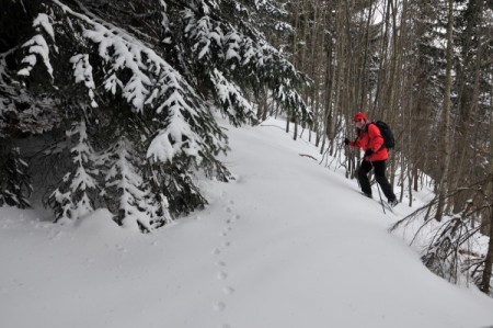 Im Wald war´s meist recht steil