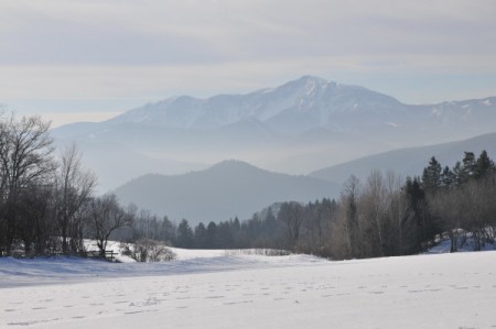 Der Schneeberg (vermute ich)