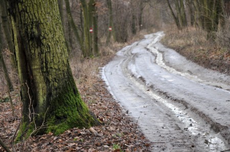 An einigen Stellen war der Weg vereistes Fließgewässer