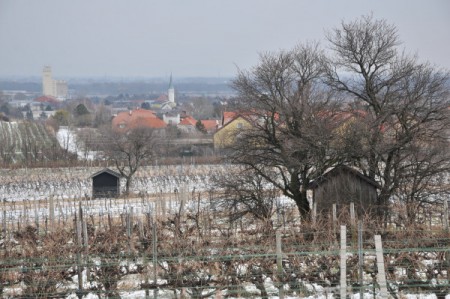 Blick auf Guntramsdorf