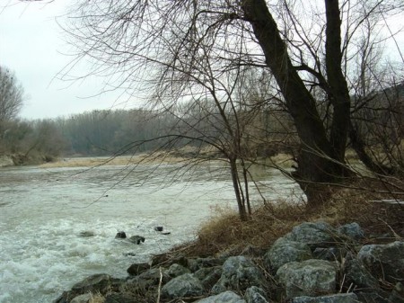 Überlauf der Donau in den Seitenarm