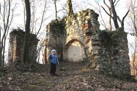 Altes Gemäuer im Wald