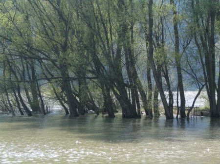 Noch ganz schön viel Wasser in der Donau!