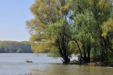 Recht hoher Wasserstand der Donau
