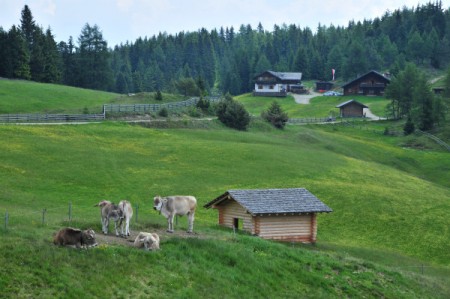 suedtirol_6608_200906