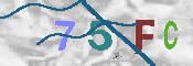 CAPTCHA-Bild