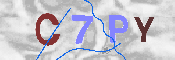 CAPTCHA-Bild
