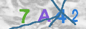 CAPTCHA-Bild