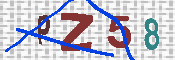 CAPTCHA-Bild