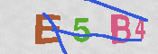 CAPTCHA-Bild