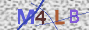 CAPTCHA-Bild