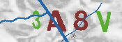 CAPTCHA-Bild