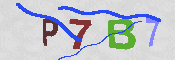 CAPTCHA-Bild
