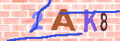 CAPTCHA-Bild
