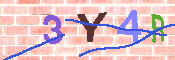 CAPTCHA-Bild