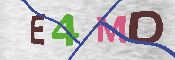CAPTCHA-Bild