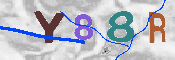 CAPTCHA-Bild