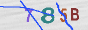 CAPTCHA-Bild