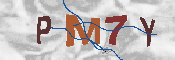 CAPTCHA-Bild
