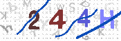 CAPTCHA-Bild