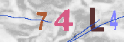 CAPTCHA-Bild