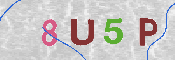 CAPTCHA-Bild