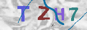 CAPTCHA-Bild