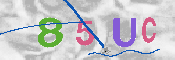 CAPTCHA-Bild