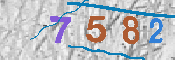 CAPTCHA-Bild
