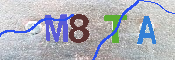 CAPTCHA-Bild