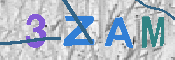CAPTCHA-Bild