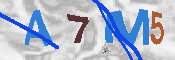 CAPTCHA-Bild