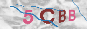 CAPTCHA-Bild