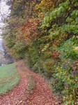 Der malerische Herbst